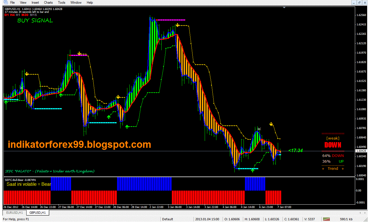 only profit forex system